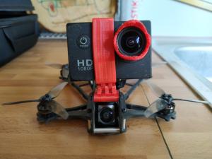 dragon_frog_007.jpg