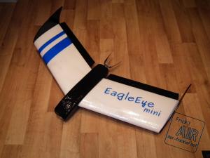 eagle_eye_mini_023.jpg