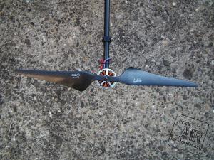 gofly_long_22.jpg