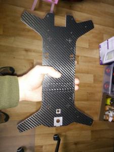 tragfalter_xl_001.jpg